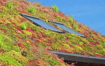 Craigshill living roof systems